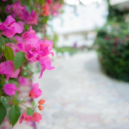 Bougainville Bay Apartments Saranda Dış mekan fotoğraf