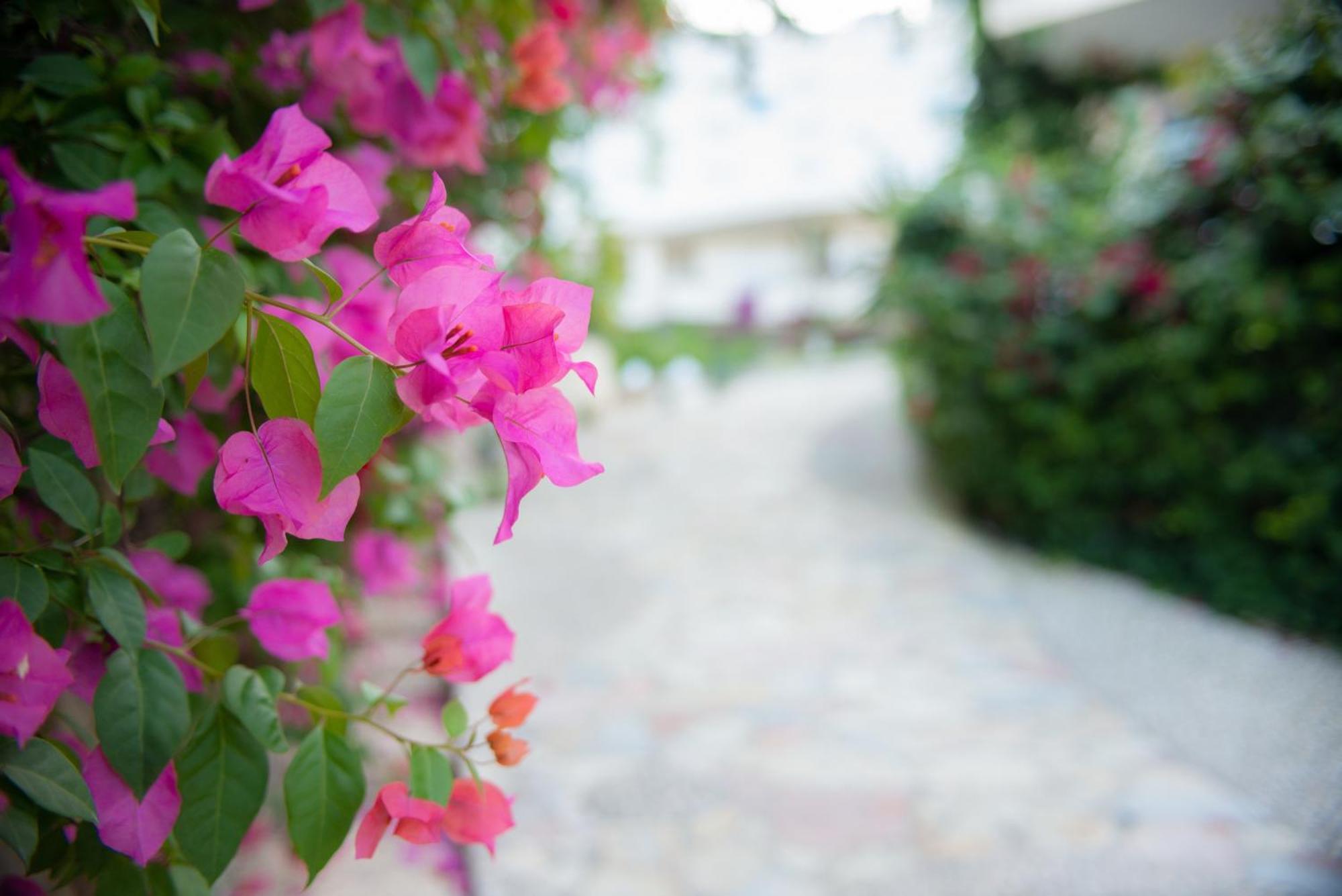 Bougainville Bay Apartments Saranda Dış mekan fotoğraf